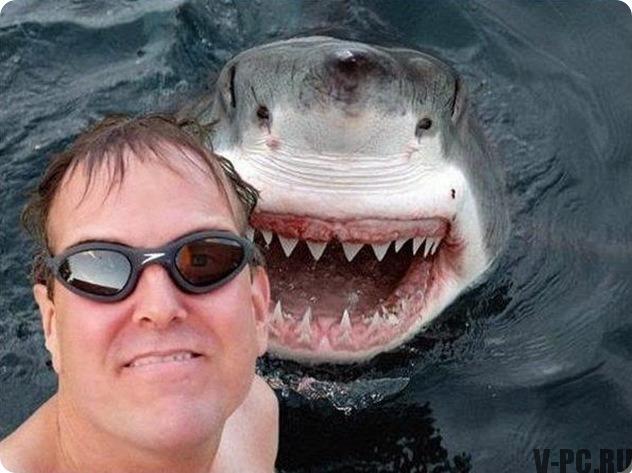 žralok selfie