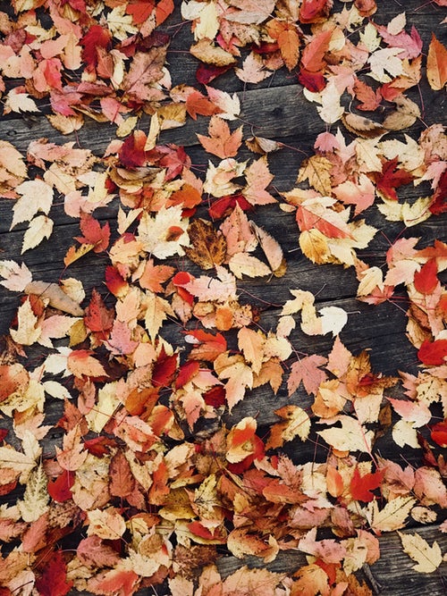 jesenné fotografické nápady pre instagram - listy