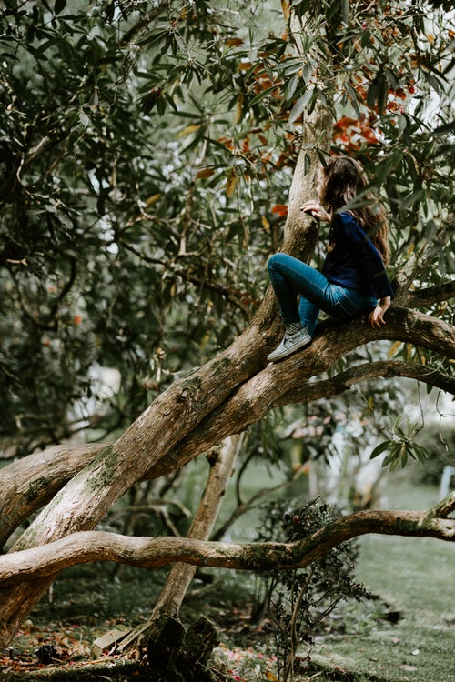 jesenné fotografické nápady pre instagram - dievča na strome