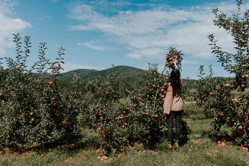 jesenné fotografické nápady pre instagram - dievča vyberá jablká