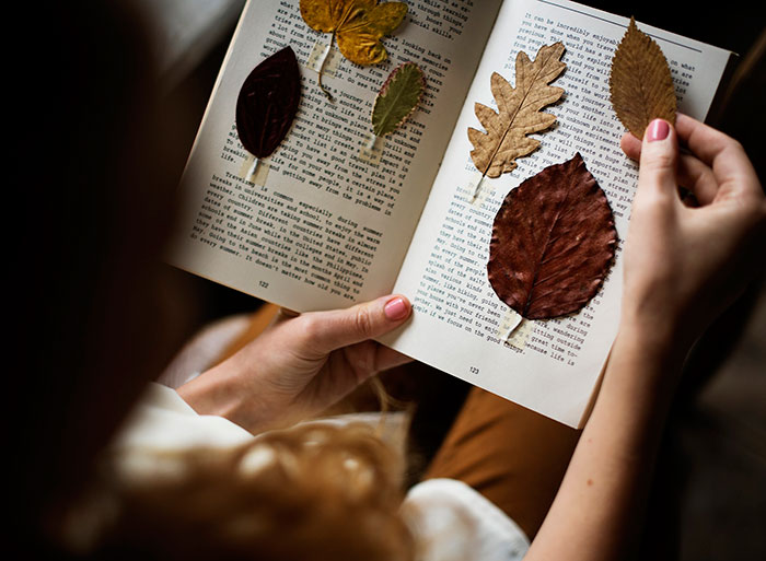 Jesenné fotografické nápady pre Instagram - suché listy v knihe
